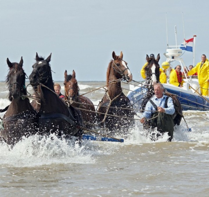 De Molenhof Pferderettungsboot