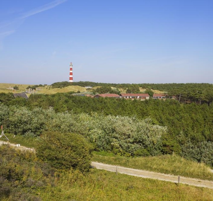 Gruppenunterkunft Sier aan Zee - Umfeld