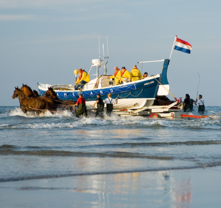 Sehen und Erleben - Gruppenunterkünfte Insel Ameland