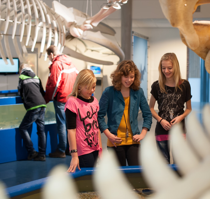 Ameland voor scholen